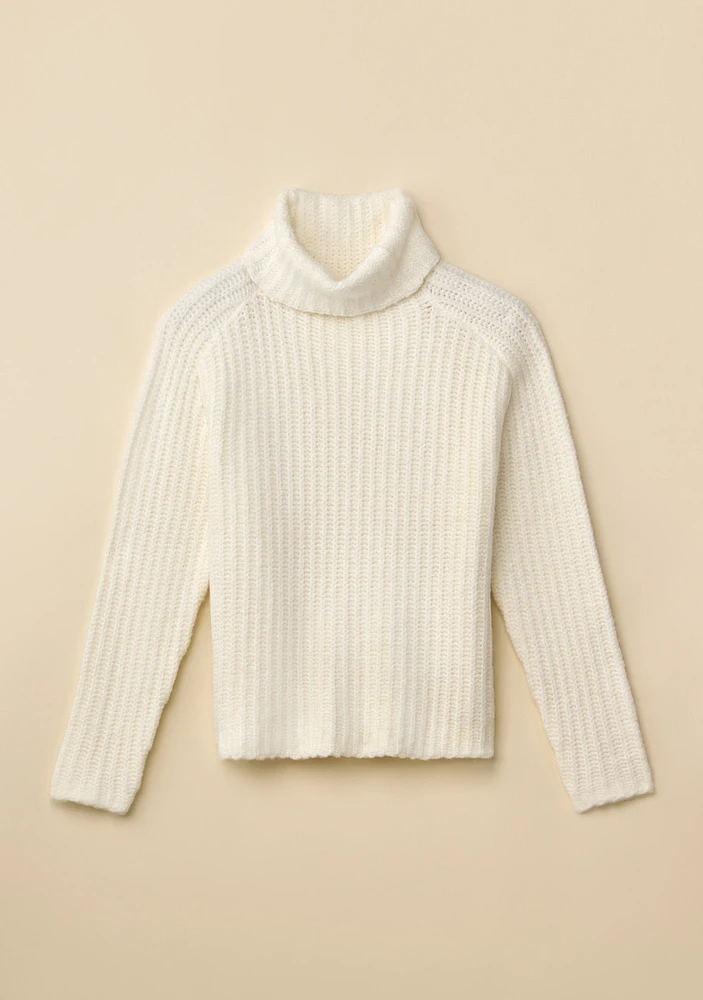 Shaker Knit Turtleneck Sweater