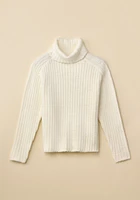 Shaker Knit Turtleneck Sweater