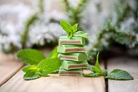 Barre à la menthe glacée 50 g [89064]