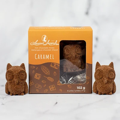 Mélanges à chocolat chaud 3D - Caramel [87049]