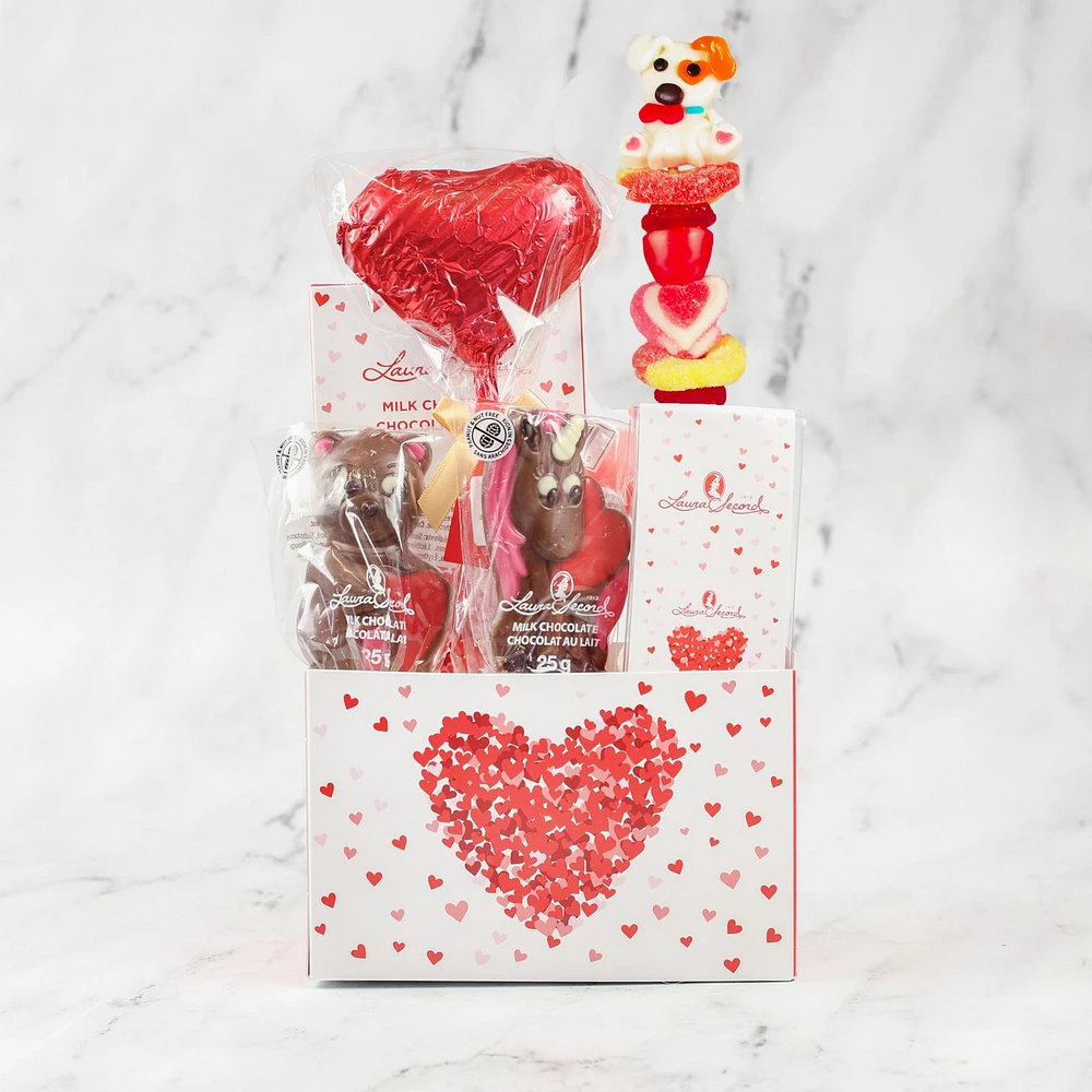 Boîtier cadeau de St-Valentin [92372]