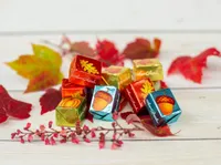 Milk Chocolate Fall Gift Pouch 160 g [93225]