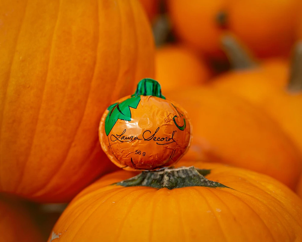 Milk chocolate pumpkin [80956]