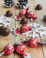 Milk Chocolate Holiday Signature Acetate 12 pieces [93385]