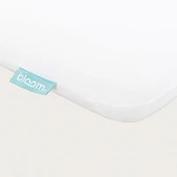 Bloom Chill Foam Pillow