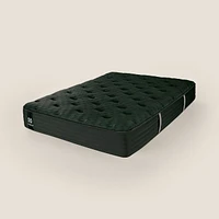 Sealy Posturepedic® Plus DBS™ 1 Mattress