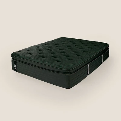 Sealy Posturepedic® Plus DBS™ 3 Mattress