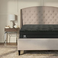 Sealy Posturepedic® Plus DBS™ 2 Mattress