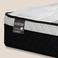 Distinction Series Lindsay Mattress