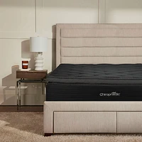 Chiropractic Superest Pacific Mattress