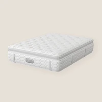 Beautyrest® Trilliant 45  Mattress