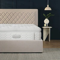 Beautyrest® Trilliant 45  Mattress