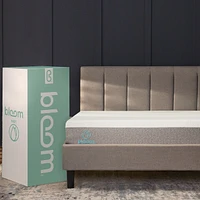 Bloom Mist Mattress