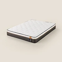 Distinction Series Springwall Chiropractic Harbour Mattress