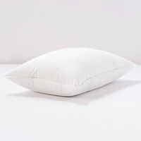 37.5 Pillow