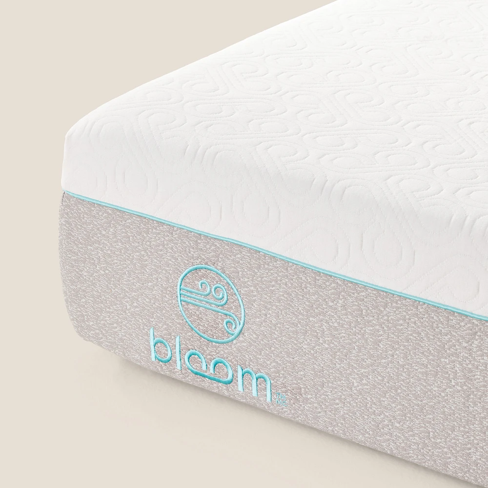 Bloom Air Mattress