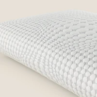 Bio-Soy™ Pillow