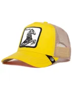 GOORIN GORRAS THE STALLION YE218260