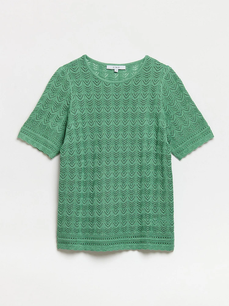 Short Sleeve Sage Pointelle Sweater