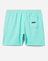 One & Only Mens Volley Shorts