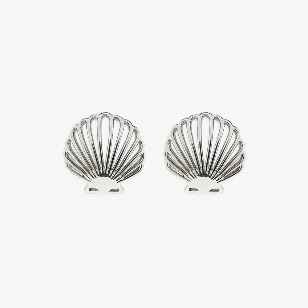Delicate Shell Stud Earrings
