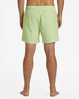 All Day Layback Boardshorts 1