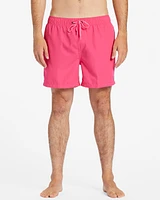 All Day Layback Boardshorts 1