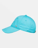 Next Level Baseball Cap III