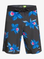 Highlite Arch 19" Boardshorts