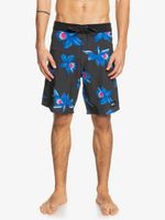 Highlite Arch 19" Boardshorts