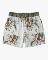 Sundays Layback Boardshort 3