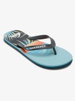 Molakai Panel- Flip-Flops