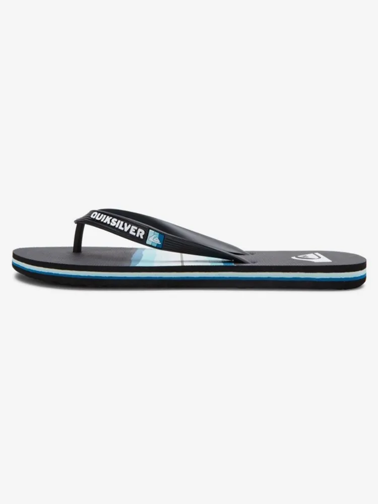 Molokai Resin Tint Flip-Flops