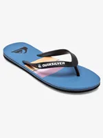 Molokai Resin Tint Flip-Flops