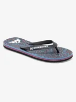 Molokai Art Flip-Flops 1