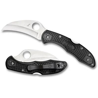 Spyderco Tasman Salt 2 Black (C106PBK2)