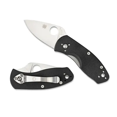 Spyderco Ambitious (C148GP)