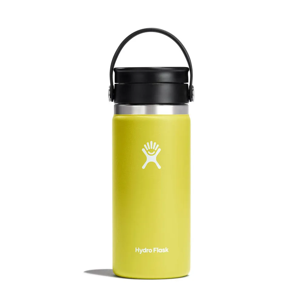 Hydro Flask Wide Mouth Flex-Sip Cactus 16oz (W16BCX752)