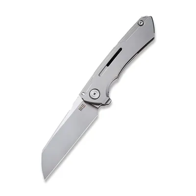 WE Knife Co Mini Buster Titanium Grey (2003A)