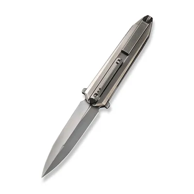 WE Knife Co Diatomic Polished Bead Blasted Titanium (WE22032-2)