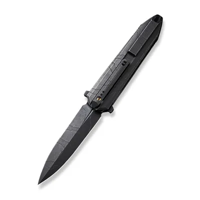WE Knife Co Diatomic Etching Pattern Titanium Black (WE22032-4)