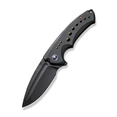 WE Knife Co Limited Edition Nexusia Titanium Black (WE22044-1)