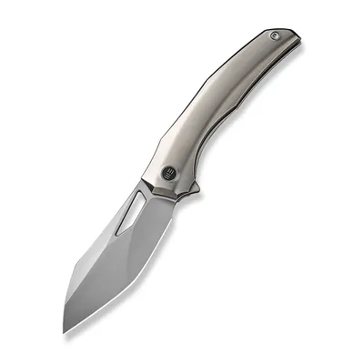 WE Ignio Titanium Bead Blasted (WE22042B-4)
