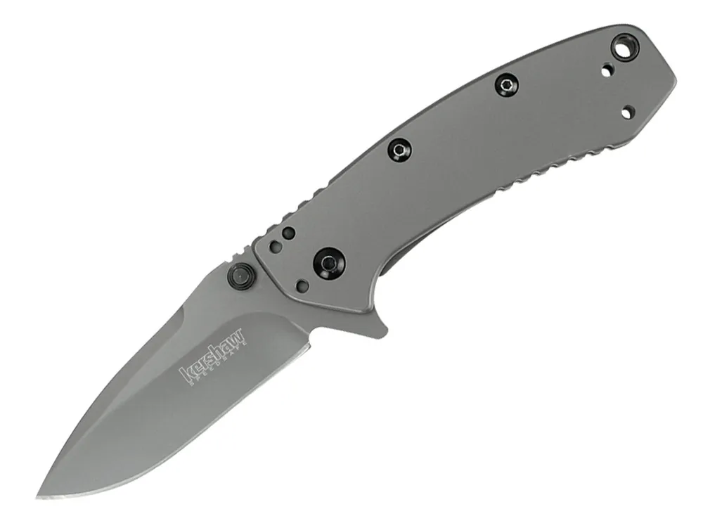 Kershaw Cryo - Silver (1555TI)