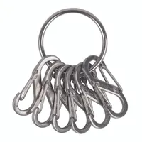 Nite Ize KeyRing S-Biner - Stainless (KRGS-11-R3)