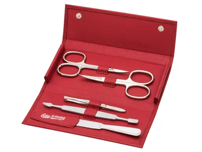Erbe Soft Case 5pc Manicure Carbon Nickel Plated Set Red (9218)