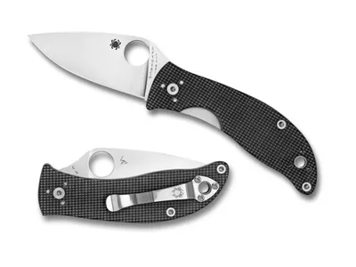 Spyderco Alcyone (C222GPGY)