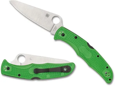 Spyderco Pacific Salt 2 Green FRN (C91FPGR2)