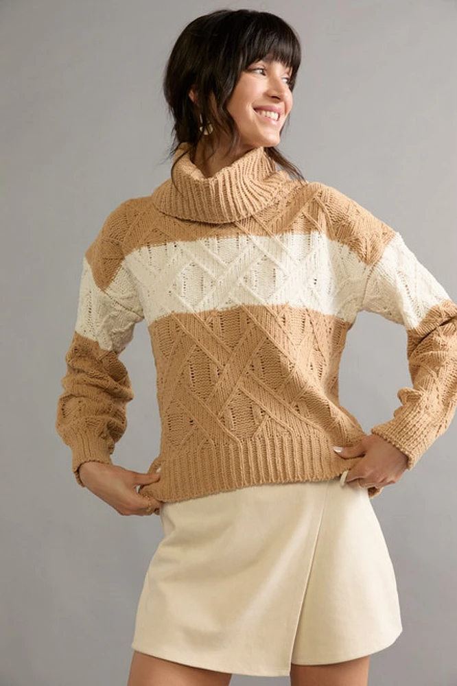 Brenda Turtleneck Chenille Pullover Sweater