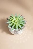 Elizabeth Disco Ball Planter Pot